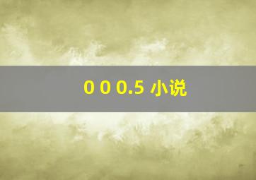 0 0 0.5 小说